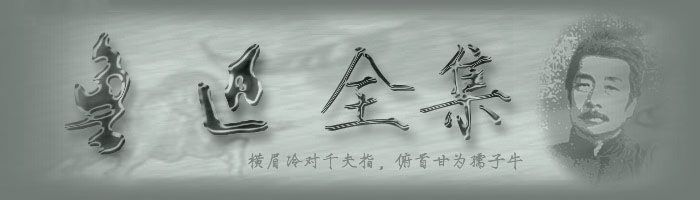 重慶網(wǎng)絡(luò)公司－魯訊（吶喊）